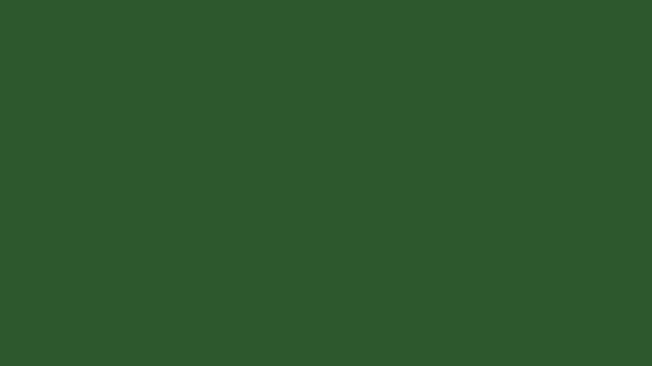 RAL 6001 Smaragdgr&uuml;n glatt glanz Pulverlack Muster Hex Code