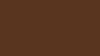 RAL 8007 Fawn brown smooth matte