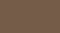 RAL 8025 Pale brown smooth matte