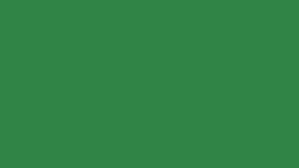 RAL 6024 Traffic green smooth glossy Powder coat Sample Hex Code