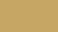 RAL 1002 Sand yellow smooth satin gloss