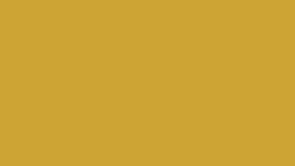 RAL 1004 Golden yellow smooth glossy Powder coat Sample Hex Code