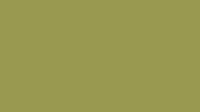 RAL 1020 Olive yellow smooth glossy Powder coat...